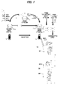 Une figure unique qui représente un dessin illustrant l'invention.